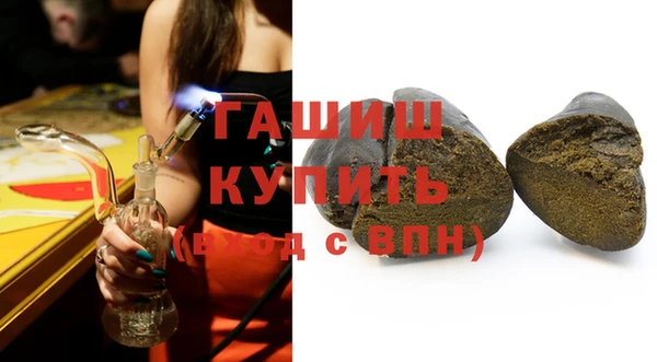 индика Абаза