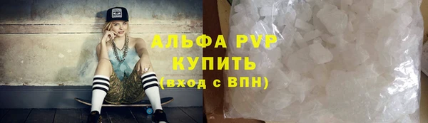 индика Абаза