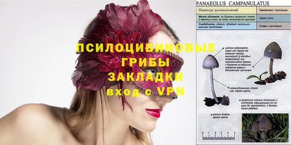 индика Абаза